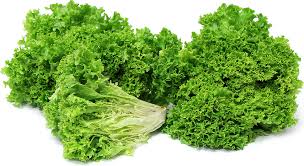 Lollo Bionda Lettuce, Color : Green