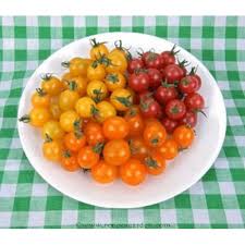 Organic Mix Cherry Tomato Punnets, Packaging Type : PP Bag, PP Box