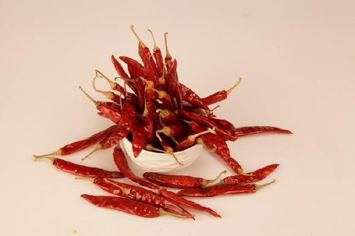 Sannam Chilli, Length : 6-8cm(without Stem)