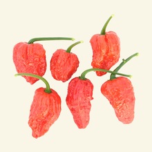 Piece Bhut Jolokia Powder, Style : Dried