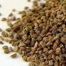 Raw Celery Seed, Color : NATURAL