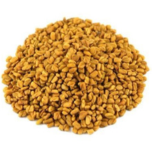 Fenugreek Seed, Color : NATURAL