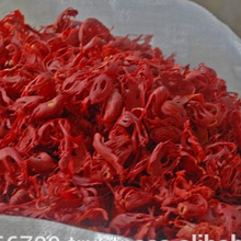 Raw Mace Spice, Color : NATURAL