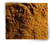 Safflower Extraction, Form : Powder