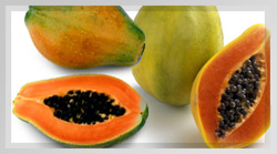 Papaya Pulp