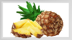 Pineapple Pulp
