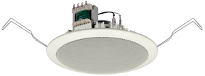 Ceiling Speaker