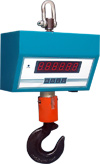 Crane Scale, Battery Backup : 6 Hrs