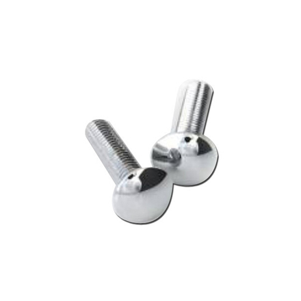 Stainless Steel Carriage Bolt