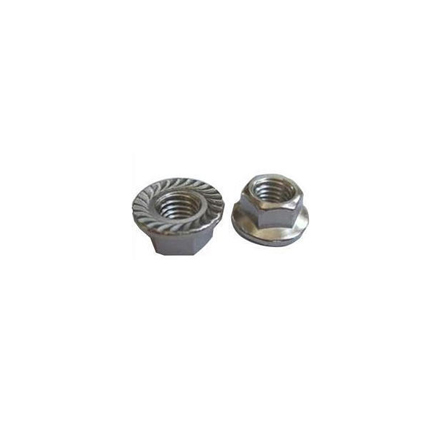 Stainless Steel Flange Nut