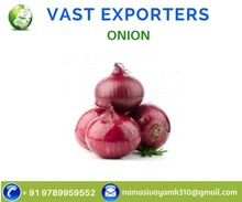 Round Common Onion, Variety : Red Oinion