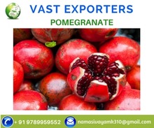 Common Pomegranate, Variety : 116, Packaging Type : Red for Sweet