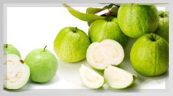 White Guava Pulp