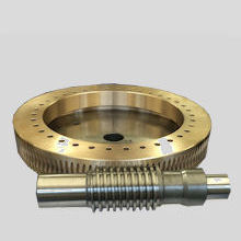 Dual Lead Worm Gears