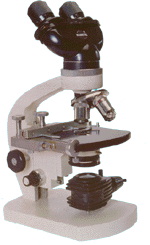 Binocular microscope