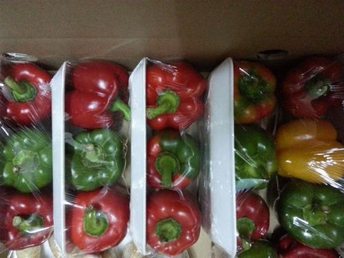 FRESH CAPSICUM - BELL PEPPER for Cooking, Food