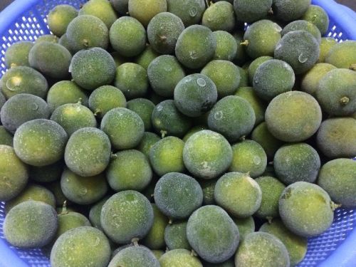 FROZEN CALAMANSI, Packaging Type : 10kg/Carton x 10mt/cont 20''