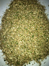 Moringa Cattle Feed