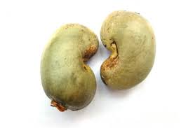 Raw Cashew