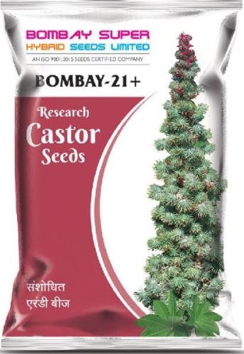 Castor Seeds