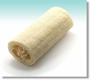 LUFFA SPONGE