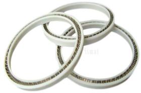 PTFE Seals