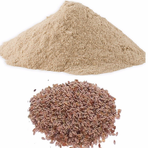 Psyllium