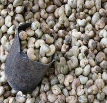 Finest Quality Raw Cashew