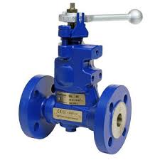 Blow Down Valve