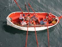 Marine Life Boats