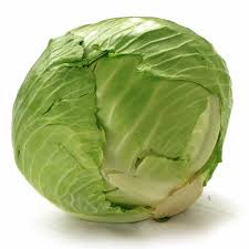 Round Fresh Cabbage