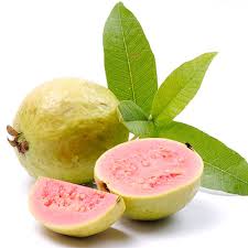 Fresh Guava, Taste : Delicious