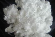 Polyester Staple Fibres