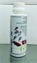 Aquarium Fish Medicine