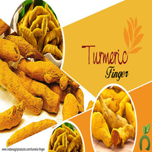 Fresh Turmeric, Form : Powder