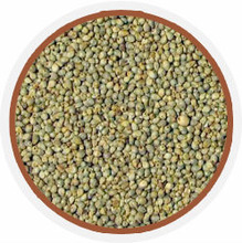Pearl millet, Moisture : Less than 14%