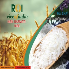 Sona Masoori Non Basmati Rice, Color : White