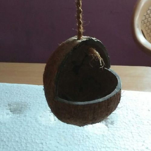 Wood Coconut Shell Bird Feeder, Feature : Eco-Friendly, Non-automatic