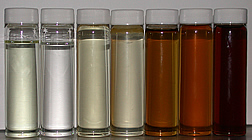 Leaves Vanilla Absolute Essential Oil, Brand Name : Eo