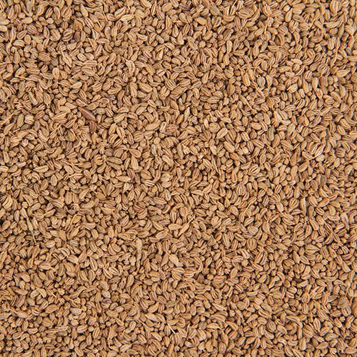 Raw Ajwain