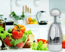 Plastic Vegetables Chopper, Color : White