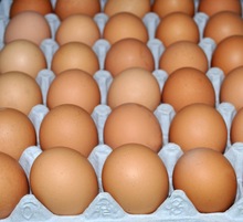 Fresh Table Eggs, Packaging Type : white brown