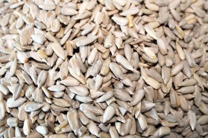 Sunflower seeds for Used oil production