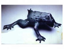 Metal Aluminium Frog Sculpture, Size : 10'' X 10'