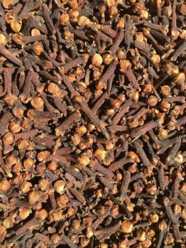 Common CG-1 Clove, Certification : CTHT