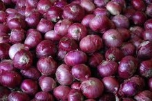 Fresh Onions