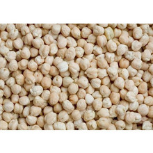 Kabuli Chickpeas