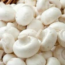 Organic Fresh Mushrooms, Shelf Life : 5-7 Days