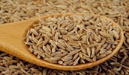 Cumin seed, Packaging Type : Light Brown, Packaging Size : 25kg
