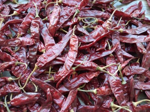 341 Dry Red Chilli, Color : 80 – 110ASTA